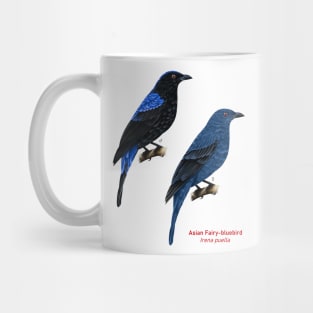 Asian Fairy-bluebird | Irena puella ⚥ Mug